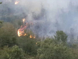 Bölgələrdə yanğın təhlükəsi yüksəkdir - ETSN