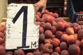 Bazarda Qarabağ meyvələri satılır: “Dadı çox şirindir”  - VİDEO