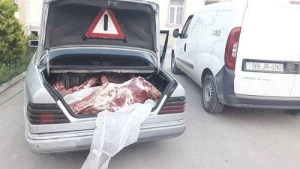 İstehlaka yararsız heyvan cəmdəyi məhv edildi