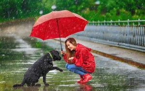 Şimşək çaxıb, leysan yağıb - Faktiki hava