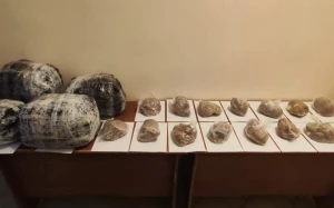 İrandan Naxçıvana 31 kq narkotik keçirilməsinin qarşısı alınıb - FOTO