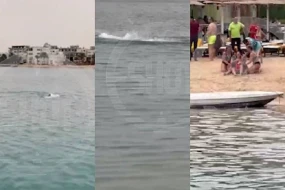 Çimərlikdə köpəkbalığı turistə hücum etdi - VİDEO