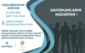 Sahibkarlarla növbəti görüş Gəncədə keçiriləcək