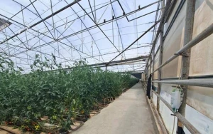 İstixanada nöqsanlar aşkarlandı - FOTOLAR