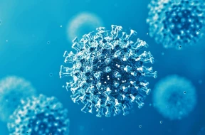 Koronavirus yalan imiş? – Sorğu nəticələri