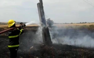 Ağsuda taxıl sahəsi yanıb 