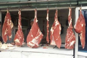 Hindistandan gətirilən mal ətində salmonella aşkarlandı