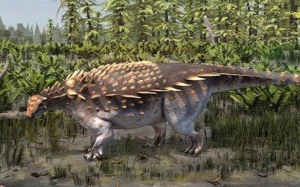 Zirehli dinozavrın yeni növü tapılıb
