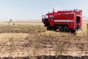 Naxçıvanda taxıl zəmisi YANDI