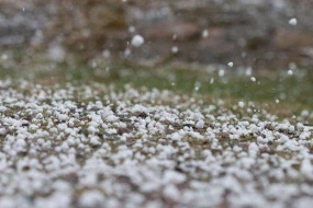 Dolunun yaratdığı fəsadlar - Taxılın qiyməti artacaq?