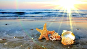 Sabah Azərbaycanda yay fəsli başlayacaq