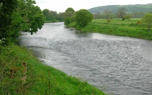 Kürün sahilində meyit tapıldı