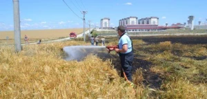 Yerə atılan siqaret yanğına səbəb oldu
