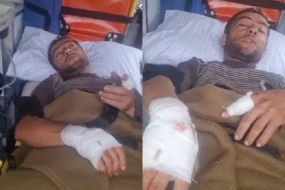 Laçında ayı sakinə hücum edərək xəsarət yetirib - VİDEO