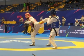 Avropa oyunlarında daha iki medal