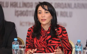 “Laçın-Xankəndi yolunun üzərində nəzarət-keçid məntəqəsi yaradılsın” - Səbinə Əliyeva