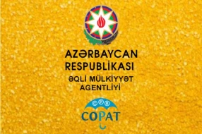 20 ixtira və 5 faydalı model patentləri haqqında MƏLUMAT