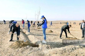 Naxçıvanda Heydər Əliyevin 100 illiyinə həsr olunmuş ağacəkmə aksiyası keçirilib - FOTO
