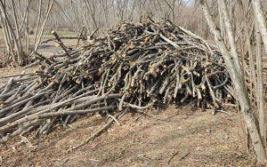 Qanunsuz ocaqxanaların fəaliyyəti dayandırıldı - VİDEO