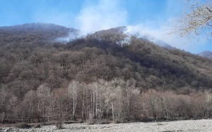 Qəbələdə meşə yanır