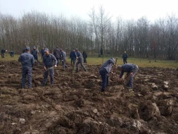 Torpaq çərşənbəsində 23 mindən çox ağac əkilib - FOTOLAR