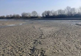 Kürdə suyun azalması nələrə səbəb olacaq?