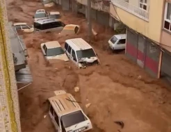 Şanlıurfada dəhşətli sel - VİDEO