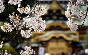 Sabah hava necə olacaq? 