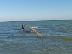 Qanunsuz ov edən şəxslər cəzalandırıldı