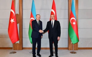 TDT-nin fövqəladə Zirvə Görüşü - Ərdoğan İlham Əliyevi qarşıladı