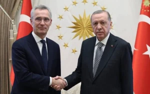 Ərdoğan Stoltenberqlə bu məsələləri müzakirə etdi
