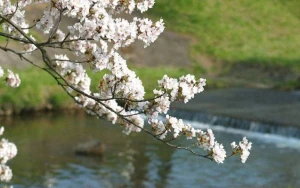 Sabah hava necə olacaq? 