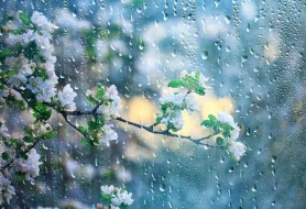 Bu günün hava PROQNOZU