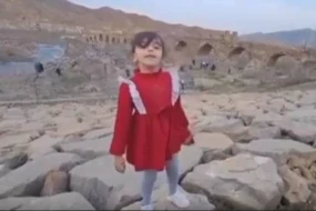 Arazın o tayında yaşayan qızcığazdan İran mollalarına tərs şillə - VİDEO