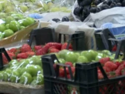 Bazarda qiyməti 180 manat olan meyvənin “faydası” - VİDEO