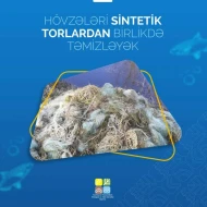 \"Hövzələri sintetik torlardan birlikdə təmizləyək\" adlı yeni aksiyaya start verilib