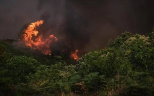 Hirkan Milli Parkında yanğın başladı