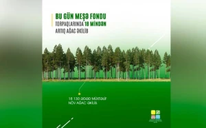 Meşə fondu torpaqlarında 18 mindən çox ağac əkilib