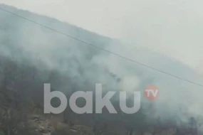 Kəlbəcərdə meşəlik ərazi yanır - VİDEO