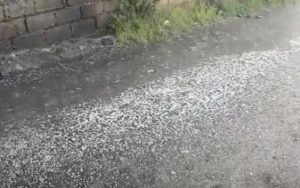 İsmayıllıya dolu düşdü - VİDEO