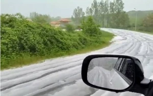 Şamaxıya qar yağır - VİDEO