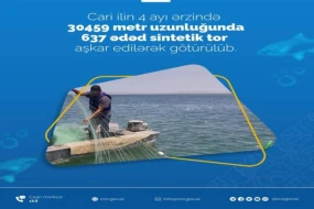 Su hövzələrində 637 ədəd sintetik tor aşkar edildi