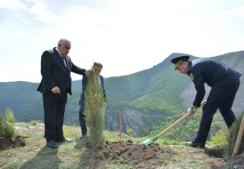 Daşkəsən Rayon Polis Şöbəsi “Heydər Əliyev İli” çərçivəsində ağacəkmə aksiyası keçirdi - FOTOLAR