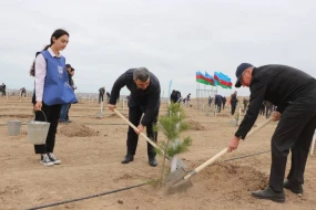 Heydər Əliyevin 100 illik yubileyi ilə bağlı ağacəkmə tədbirləri davam edir - FOTOLAR