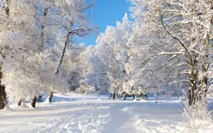 Bu rayona qar yağıb - FAKTİKİ HAVA