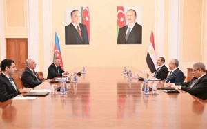 Əli Əsədov daha bir görüş keçirdi