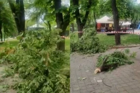 Kliçko raket qalıqlarının düşdüyü Kiyev zooparkını göstərdi - VİDEO