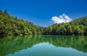 Azərbaycanda bu ərazilərdə yeni milli parklar yaradılır