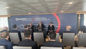 Hikmət Hacıyev və Armen Qriqoryan görüşdü - BU MƏSƏLƏLƏR müzakirə edilib