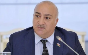 Deputat ağcaqanadların çoxluğundan gileyləndi: \"Camaata zülm edirlər\"